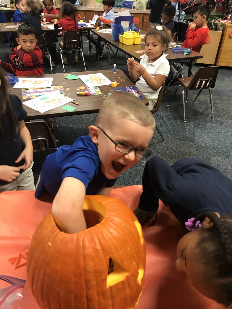 free Data and Models