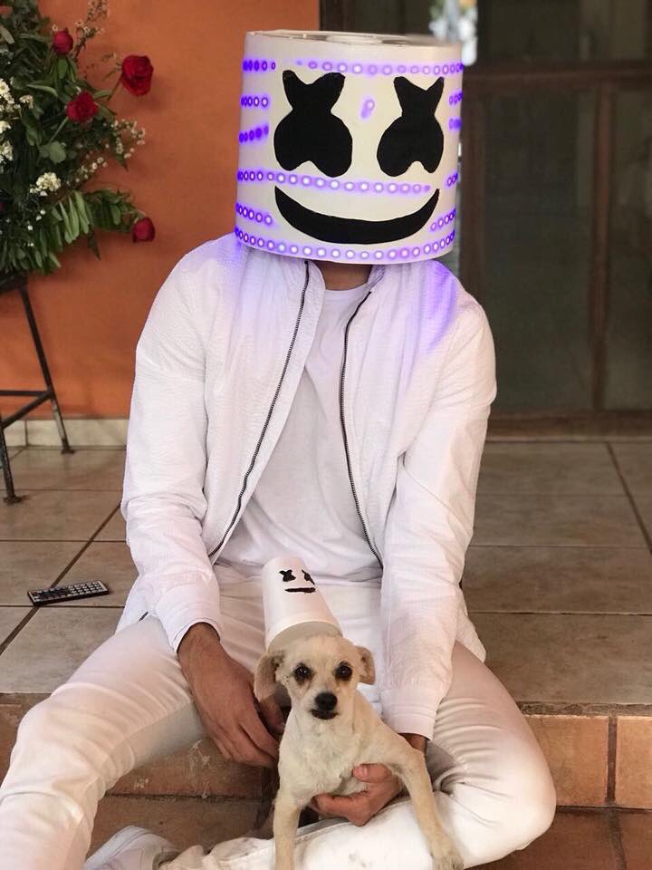 Spazzatura tweet media