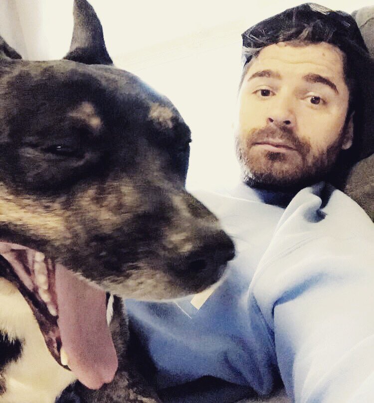 Torso1990's tweet photo. Here’s a picture of my dog 🤔 #heslazy #lovesfood @missmeowlory https://t.co/1lRdeL3H4H