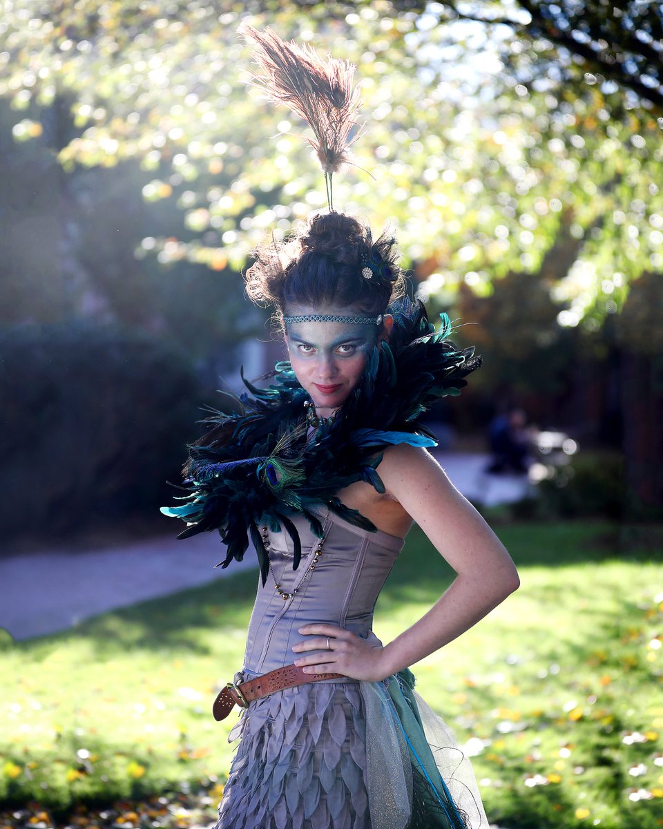DavidsonCollege's tweet photo. A love of #FlanneryOConnor, and the author’s love of #peacocks, inspired Chloe Pitkoff ’21 to craft her own #Halloween plumage. #collab2017 https://t.co/d9NAbm0uEJ