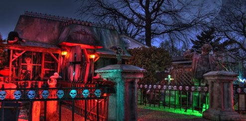 Alice Cullen tweet media