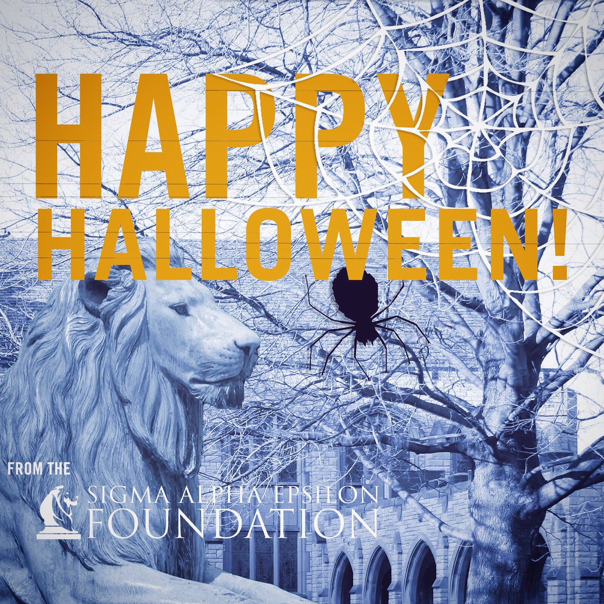 From all of us at the Foundation, have a safe and #HappyHalloween!