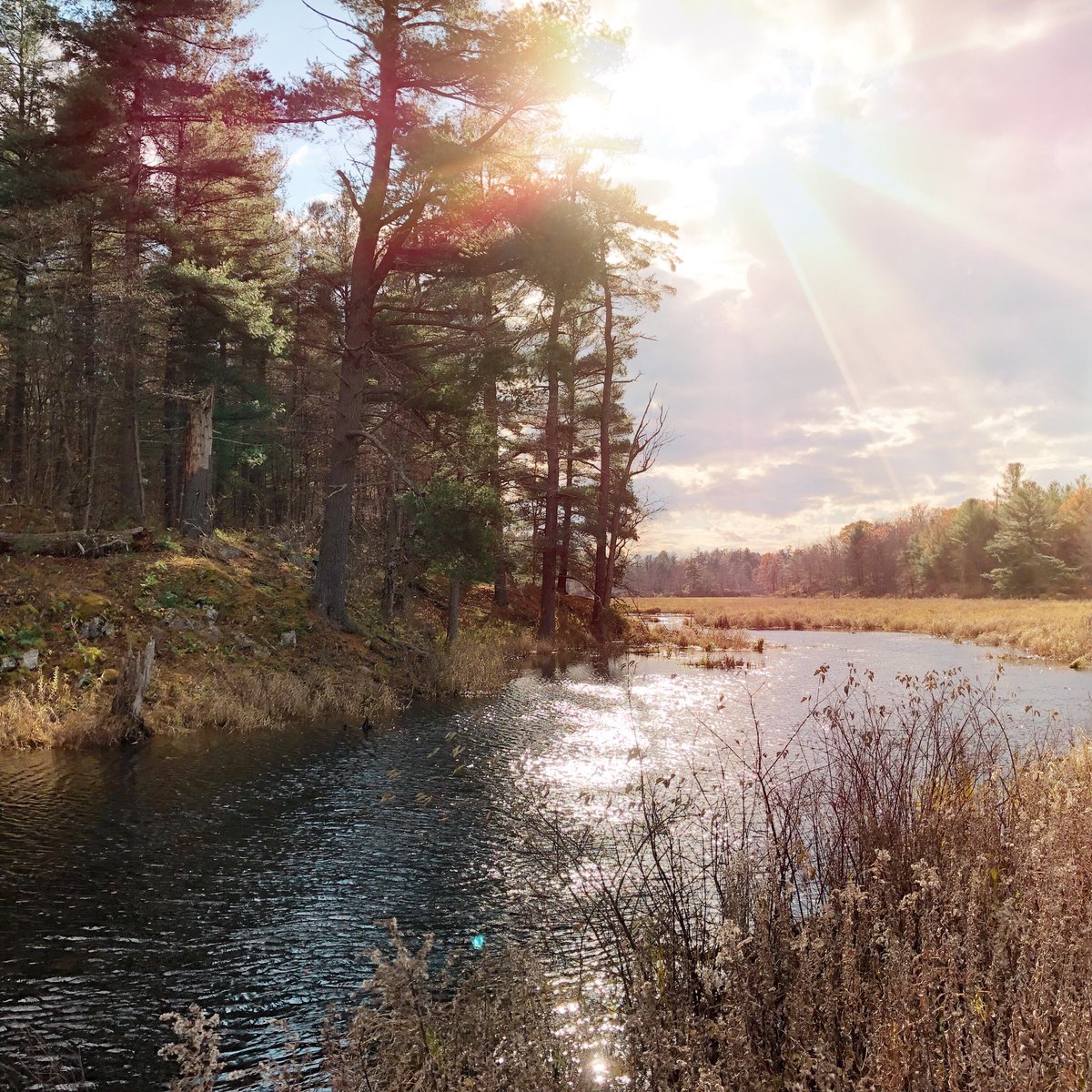 Some images from the <a href="/CataraquiTrail/">Cataraqui Trail</a> off of Opinicon Rd. Love this time of year.