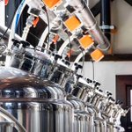 Photo by Steel Toad Brewing (@steeltoadbeer)