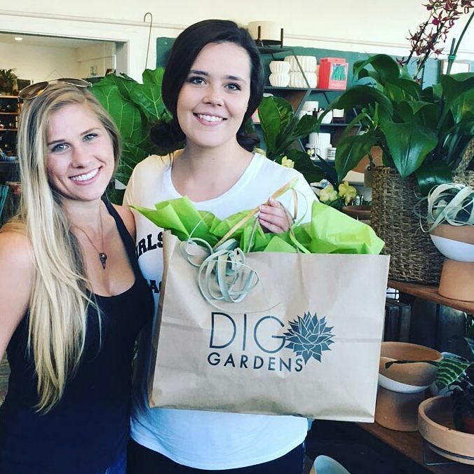 nomBat's tweet image. A little while back we gave Dig Gardens a logo refresh. Something that would be nice and versatile for them, while… ift.tt/2zV4jmt