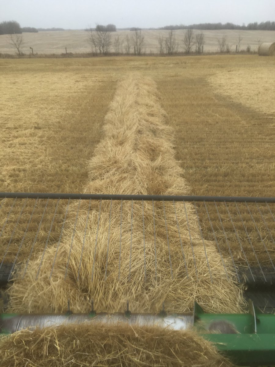 hix_md's tweet photo. Last pass of rotten, miserable, frustrating and exhausting harvest 2017. As the snowflakes begin to fall... https://t.co/1VJLN8jmLg