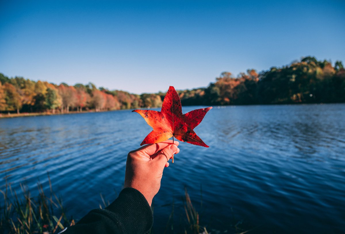 witnessphotos's tweet image. 📸🍂