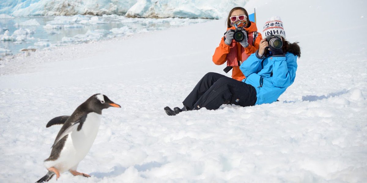 UnboundAdv's tweet image. Antarctica Fast Facts: 10 Things You Didn't Know ow.ly/Fxs630fv9iQ #TravelTuesday #Antarctica #Polar #AdventureUnbound