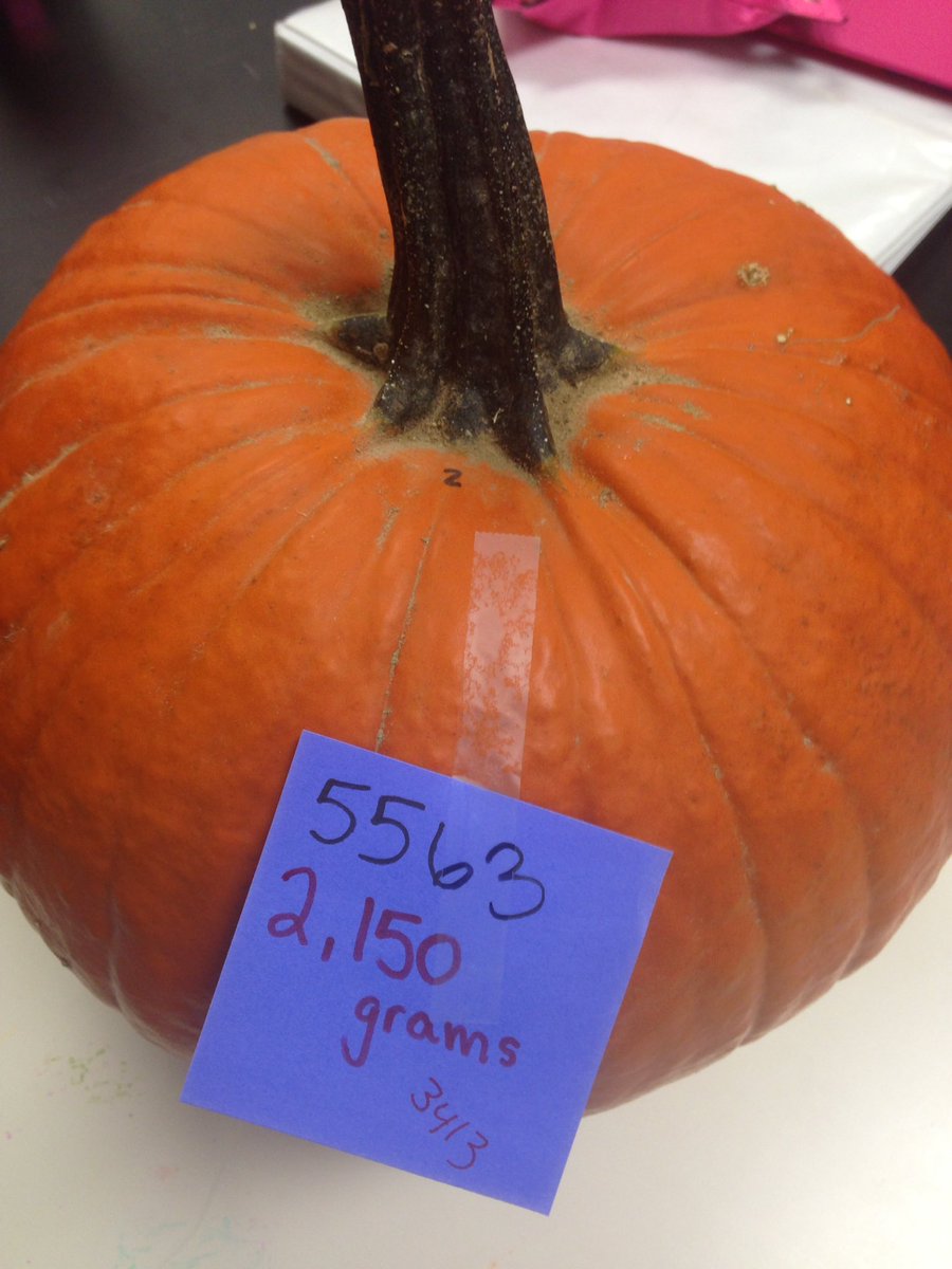 LDubsGatestone's tweet image. Estimating Pumpkin Weight (in grams). #colourchallenge #class78