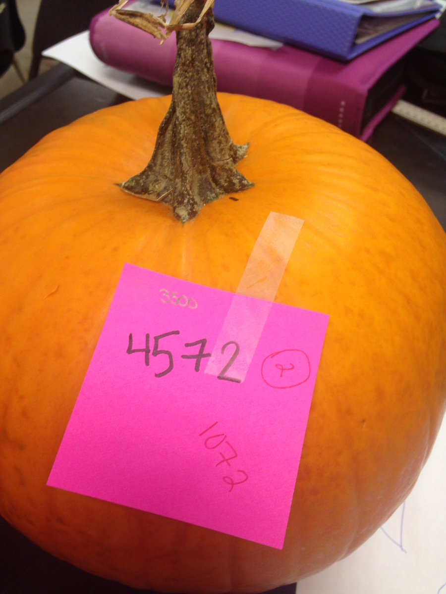 LDubsGatestone's tweet image. Estimating Pumpkin Weight (in grams). #colourchallenge #class78