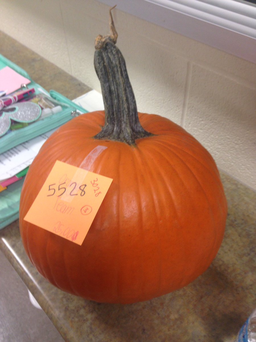 LDubsGatestone's tweet image. Estimating Pumpkin Weight (in grams). #colourchallenge #class78