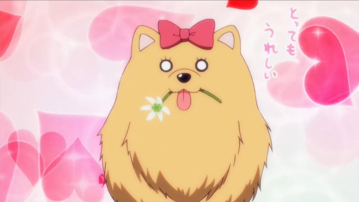 アニメ アホガール 公式 え 今日は 犬の日 アホガール ファンの皆様が真っ先に思い浮かんだのは 我らが 犬 でしょう てってれー Ahogirl