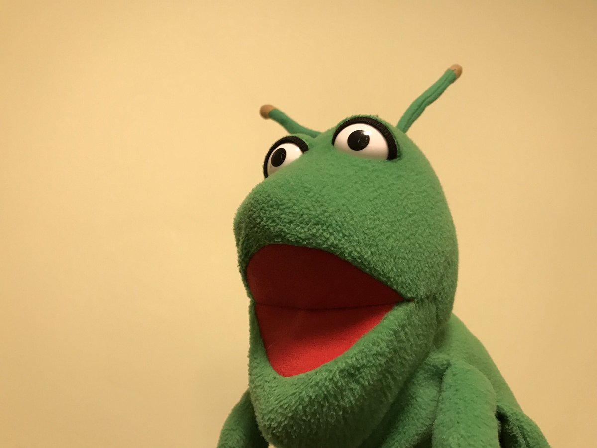 GrasshopperPhil's tweet photo. The face I make when someone walking their dog lets him poop on me #grasshopperproblems https://t.co/D7DNFUsmix