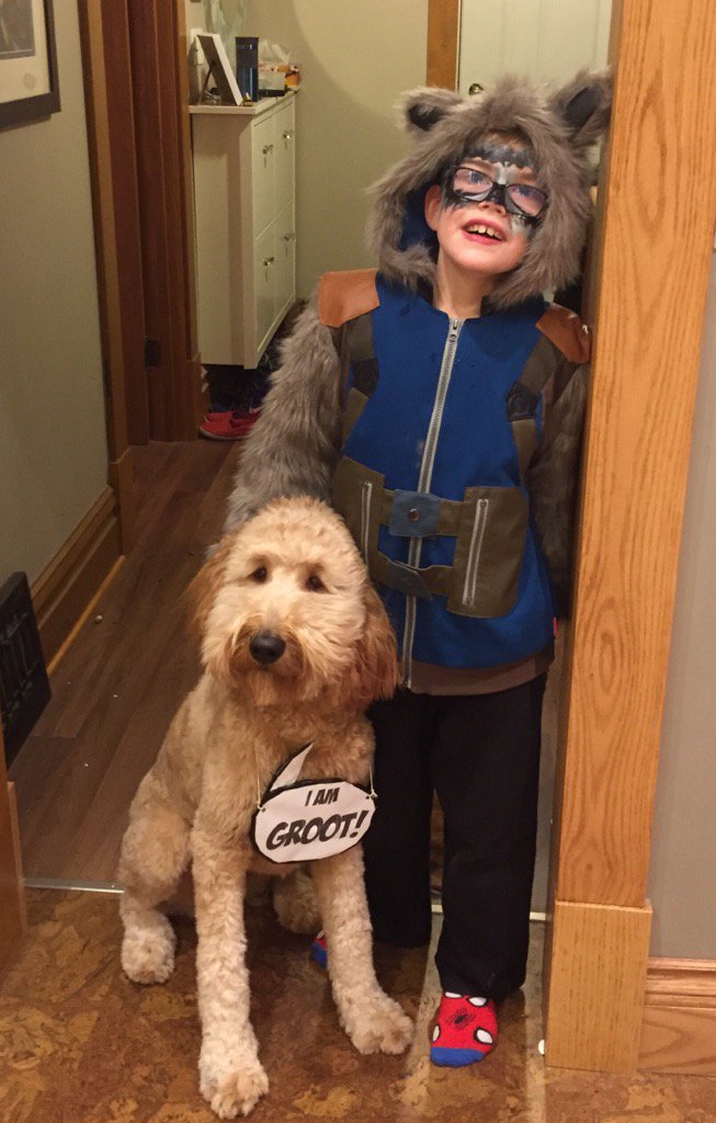 ApplesMorris's tweet photo. A boy and his dog on Halloween. #grootandrocket #wearegroot https://t.co/yn83M0OAdY