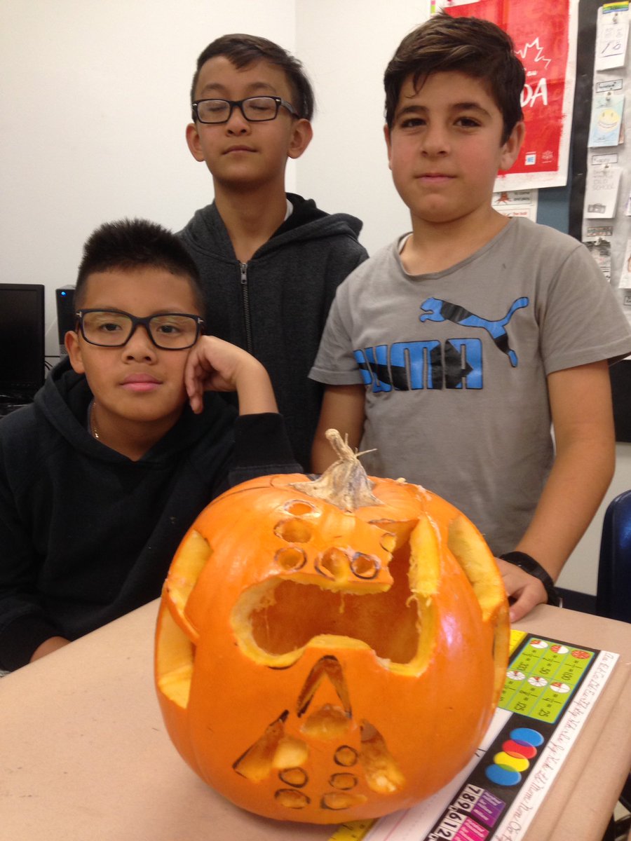 wendylgroot2's tweet photo. A few more @tyndallparkWSD https://t.co/KmTIU1eeVj