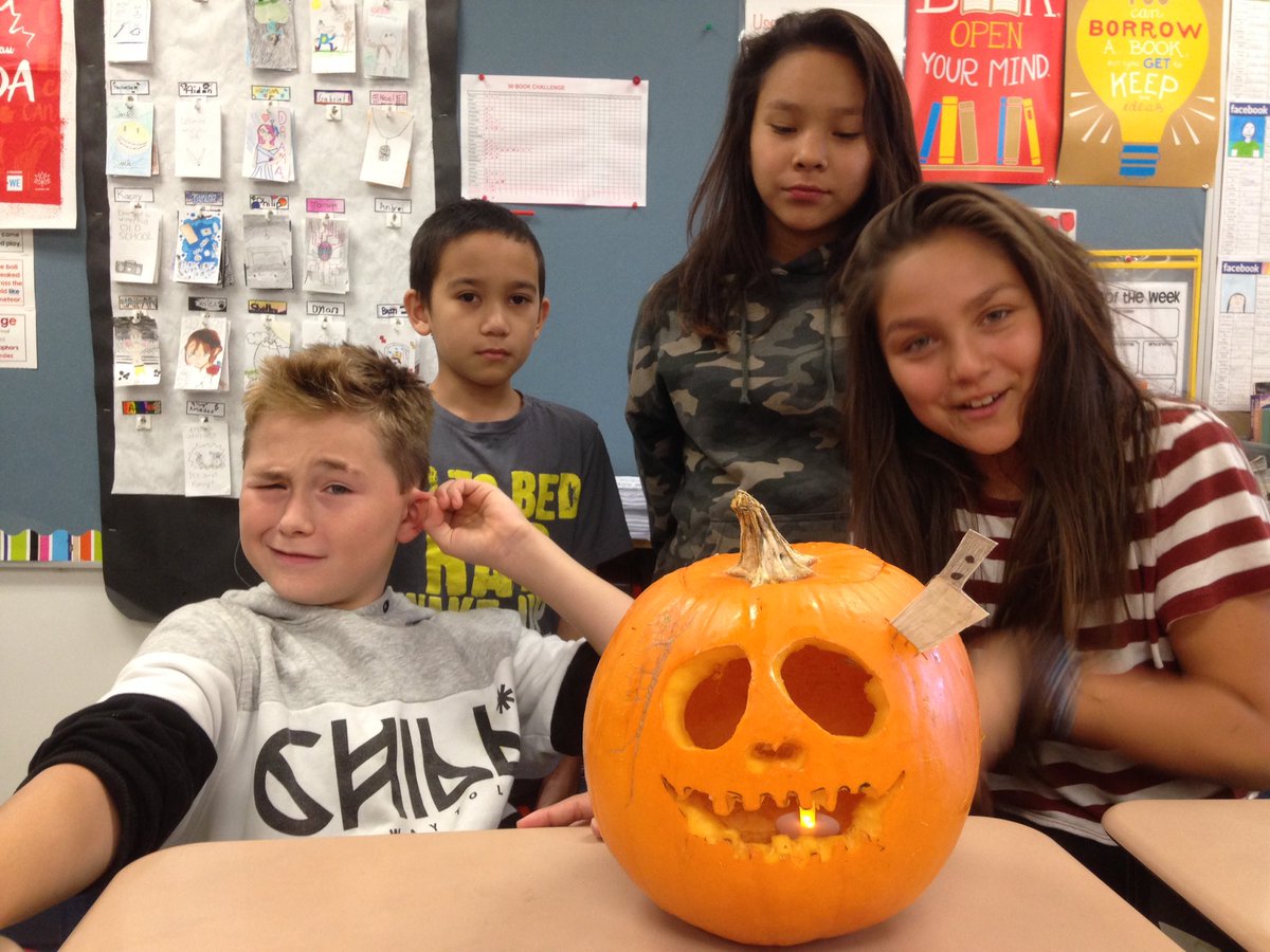 wendylgroot2's tweet photo. A few more @tyndallparkWSD https://t.co/KmTIU1eeVj