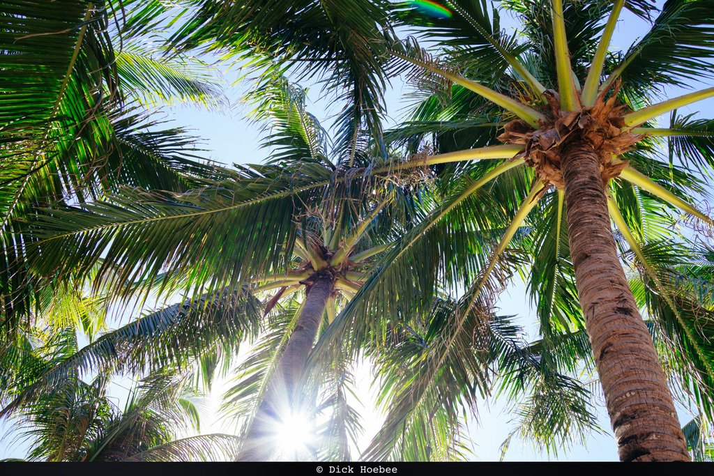 The_Polarizer's tweet photo. I will never get tired of this. Ever. #Boracay #Philippines #beach #ocean #SonyRX1R @sonyalpha #instagoodmyphoto @justgoshoot #peoplescreat… https://t.co/tMTCvzDsqe