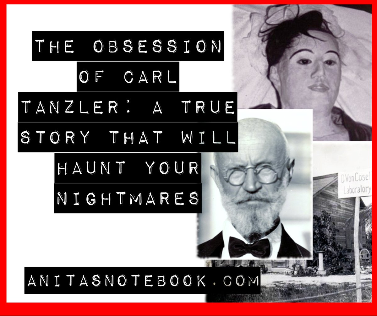 anitasnotebook's tweet image. This story man...omg...Halloween nightmares 🎃🔥🎃🔥🎃. 

Read if you dare: anitasnotebook.com/2017/10/the-ob…