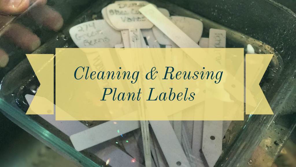 Quick Tip: Cleaning and Reusing Plant Label Markers bit.ly/2hrUjuj
