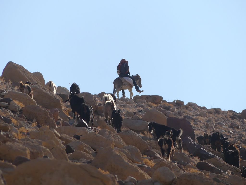 Scenes of Bedouin life... <a href="/VisitJordan_NA/">My Jordan Journey</a> <a href="/IFWTWA/">IFWTWA</a> #MyJordanJourney #LearnJordan