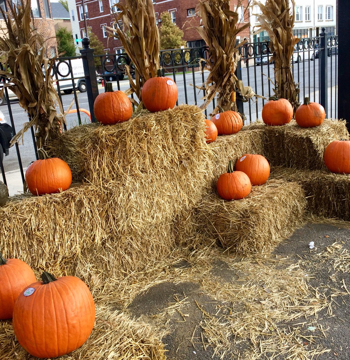 Fresh Market Place tweet media