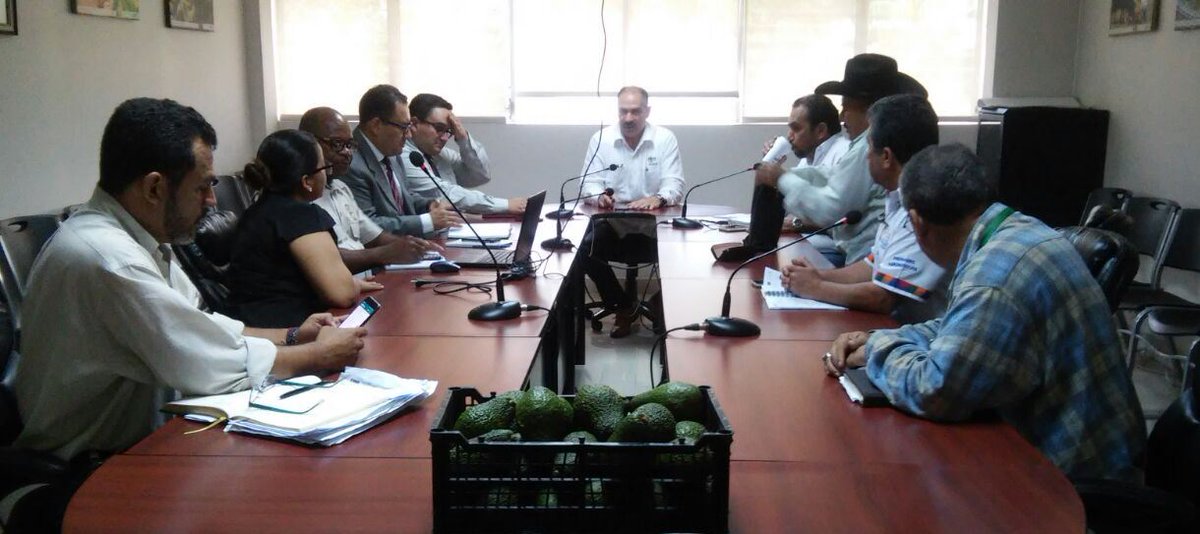 saghonduras's tweet photo. @JacoboPaz1 preside reunión con sistema bancario, y así crear interés de financiamiento para diferentes cadenas agroalimentarias #PRONAGRO https://t.co/jFISngYZKX