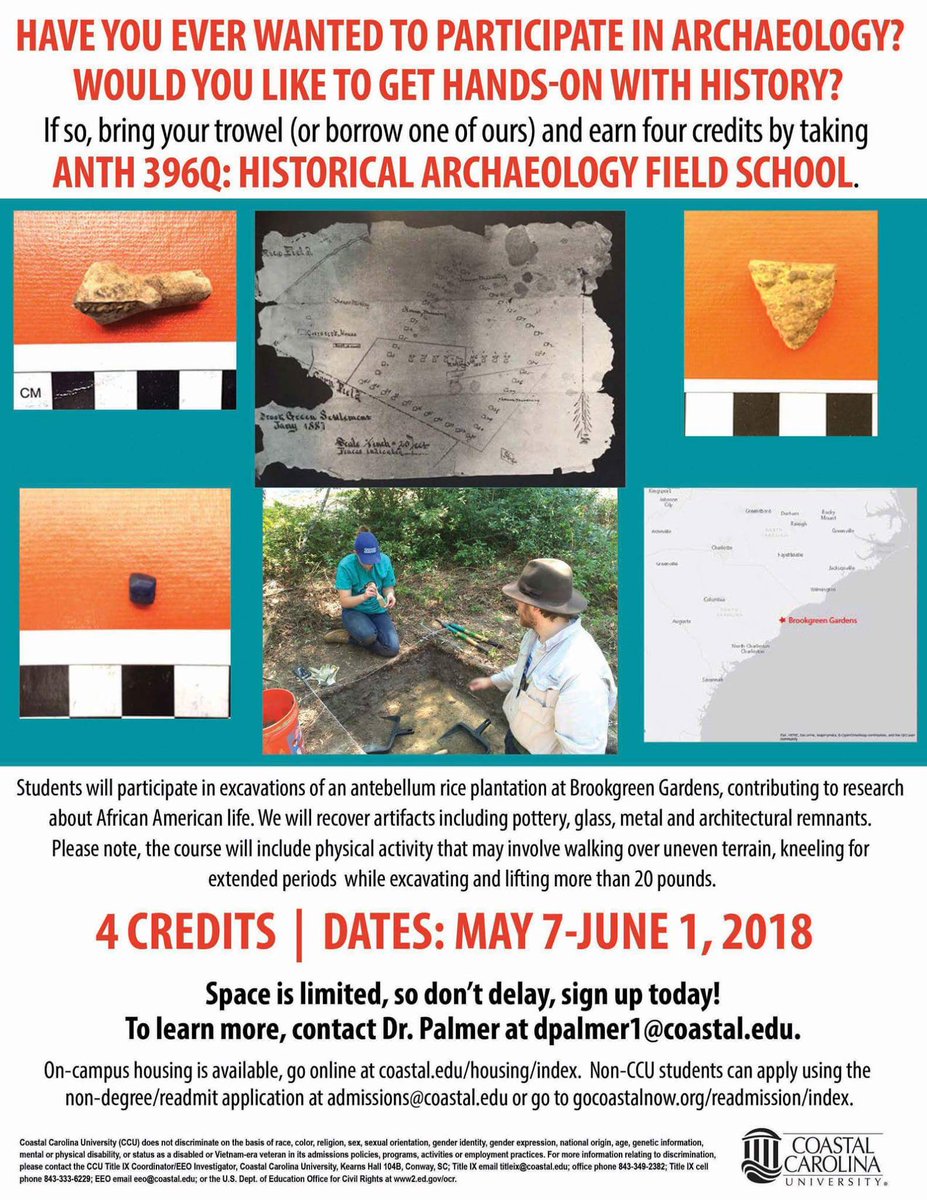 What are you doing this summer? How about some archaeology?