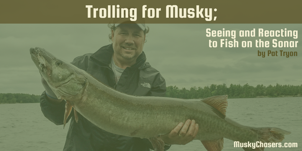 MuskyChasers's tweet photo. From the blog: Trolling for Musky; Seeing and Reacting to Fish on the Sonar.
Read it: https://t.co/cseYWHYFQz
#muskychasers #muskytrolling https://t.co/eKaYIr7spI