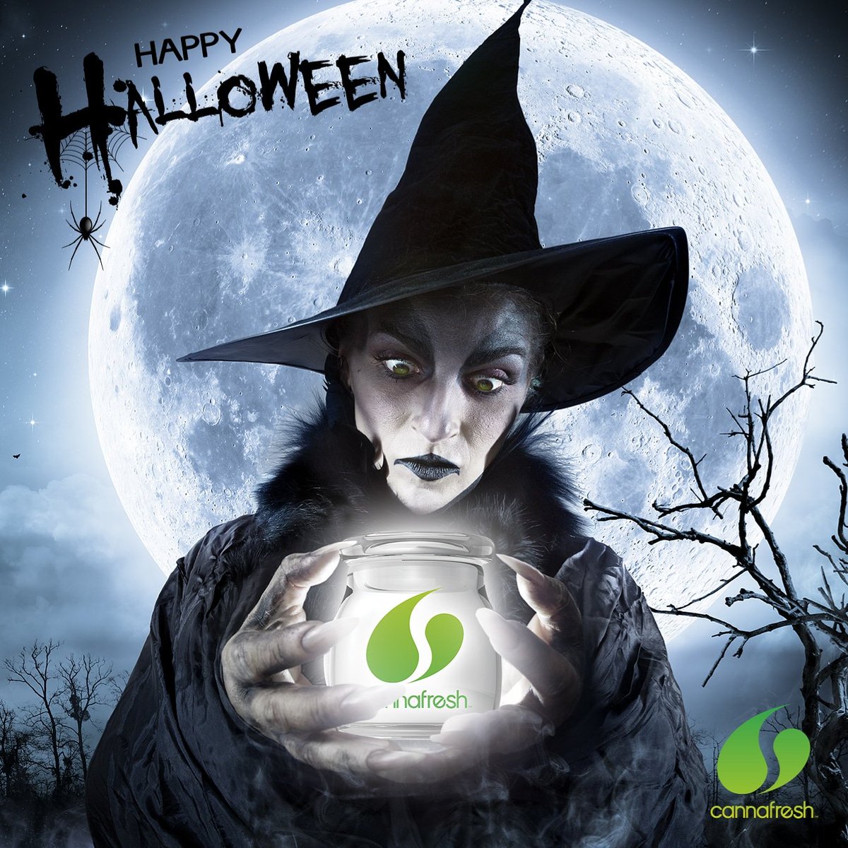 cannafreshbrand's tweet photo. Happy Halloween from #Cannafresh and the rest of your #Formula420Family!
@Formula420 @Formula710 @SmogOutSpray
#Halloween2017 https://t.co/Wzn4i4OJ1H