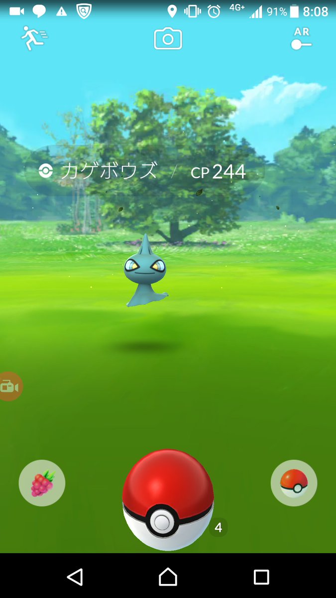 ポケモンgo ジュペッタとカゲボウズの色違いは今までで一番見逃しやすくない ポケモンgo攻略まとめ速報