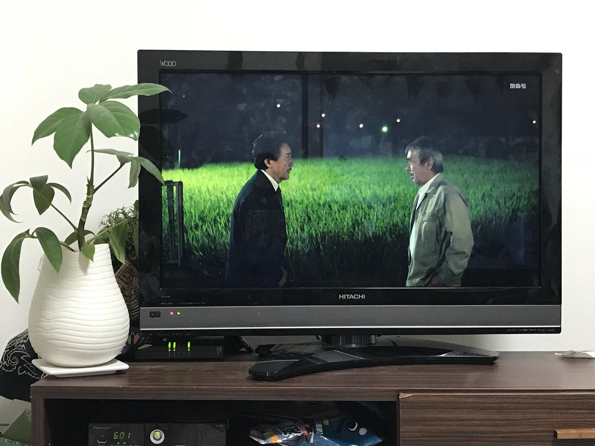 泣き すぎ て 目 が 痛い