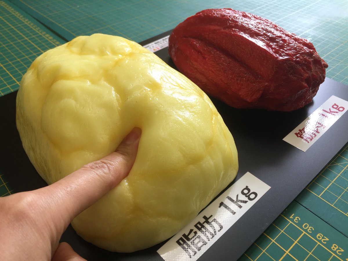 脂肪と筋肉の大きさ比較イメージモデル（1kg）」 これを見ると同じ体重