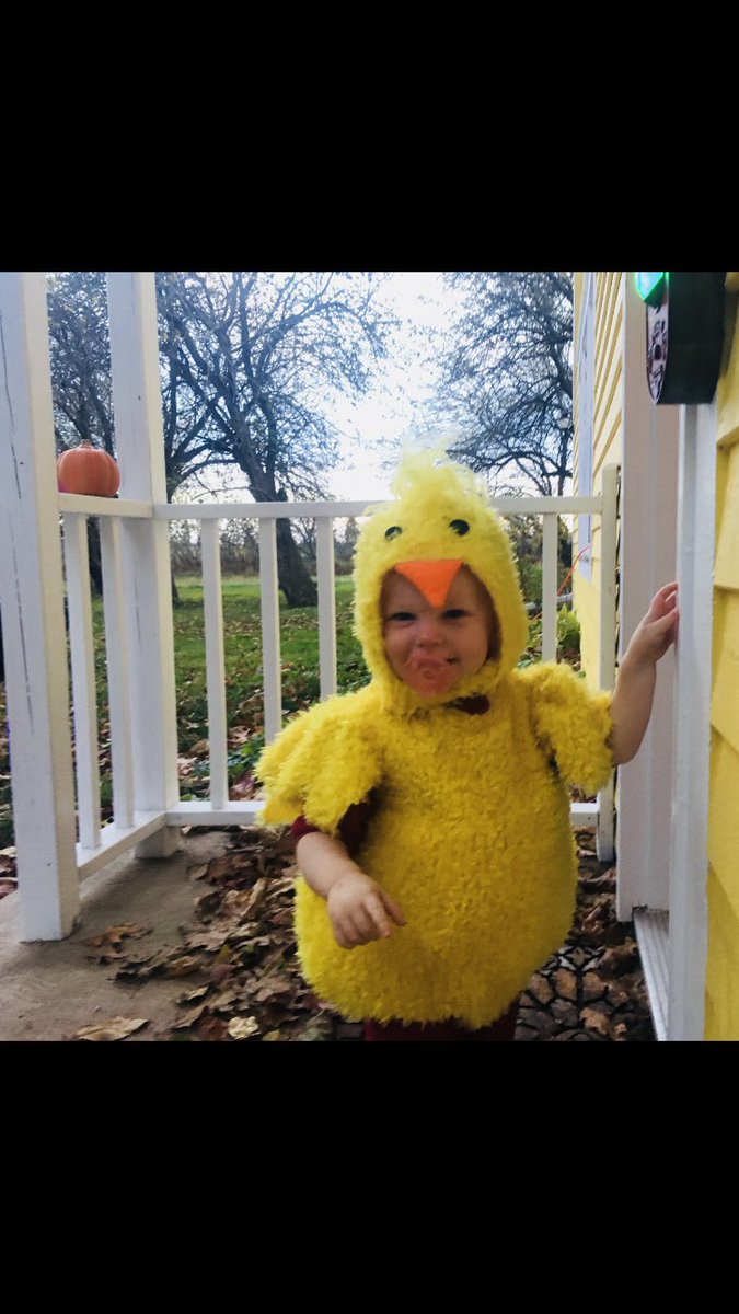 oaharvey's tweet photo. Happy Halloween 🎃!! https://t.co/Flcw9MtKJn