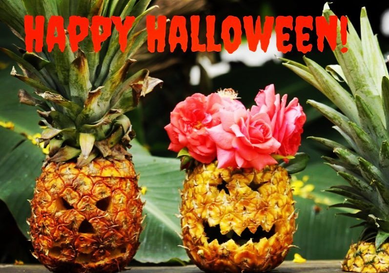 daHawaiianStore's tweet photo. Happy Halloween! #halloweenpineapple, #hawaiianhalloween, #spooky, #pineapplejackolantern, #hawaiianstore, #dahawโฆ https://t.co/ZDEJYEcWb2 https://t.co/0nX56Akt6D