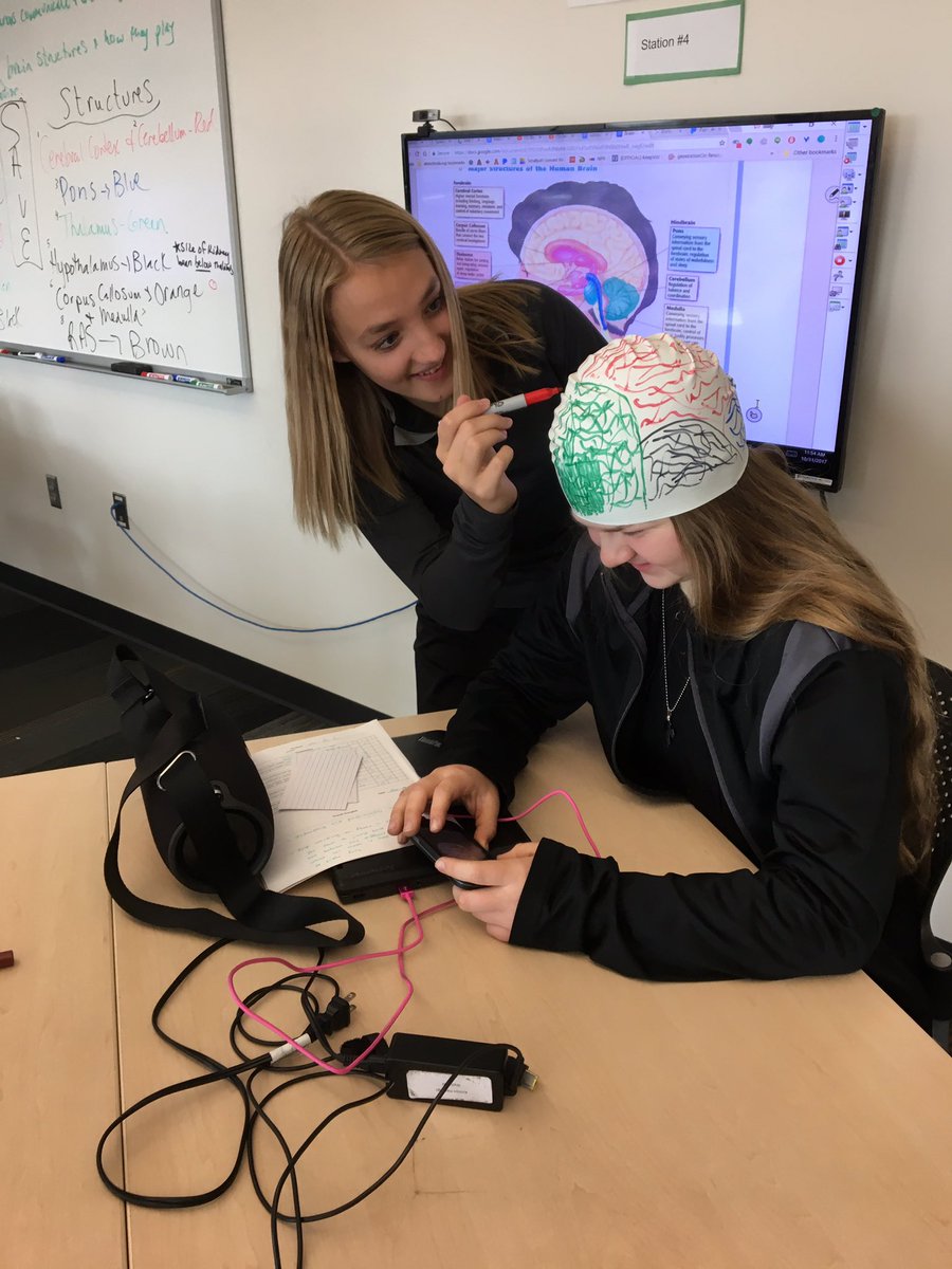 KellyH5581's tweet photo. @AAHSeveryday 3A showing off their artistic talents with the brain caps! #psychrocks #brainbee2be 1/2 https://t.co/VfZiVpNw5R