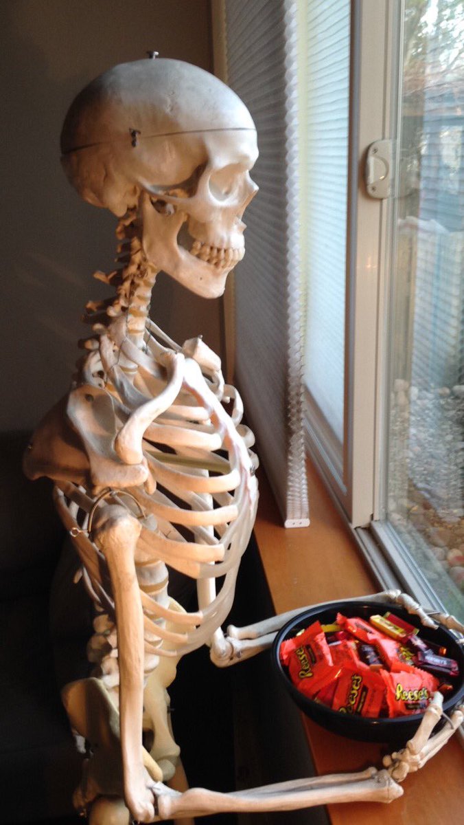 Simon Skeleton tweet media