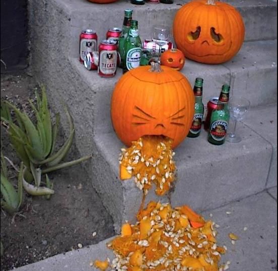 DiscountedHydro's tweet photo. Check out these Halloween Classics. That Grandmother looks a little strange, dontcha think?
Happy Halloween from Discounted Hydroponics. https://t.co/eLvRKmfR7U