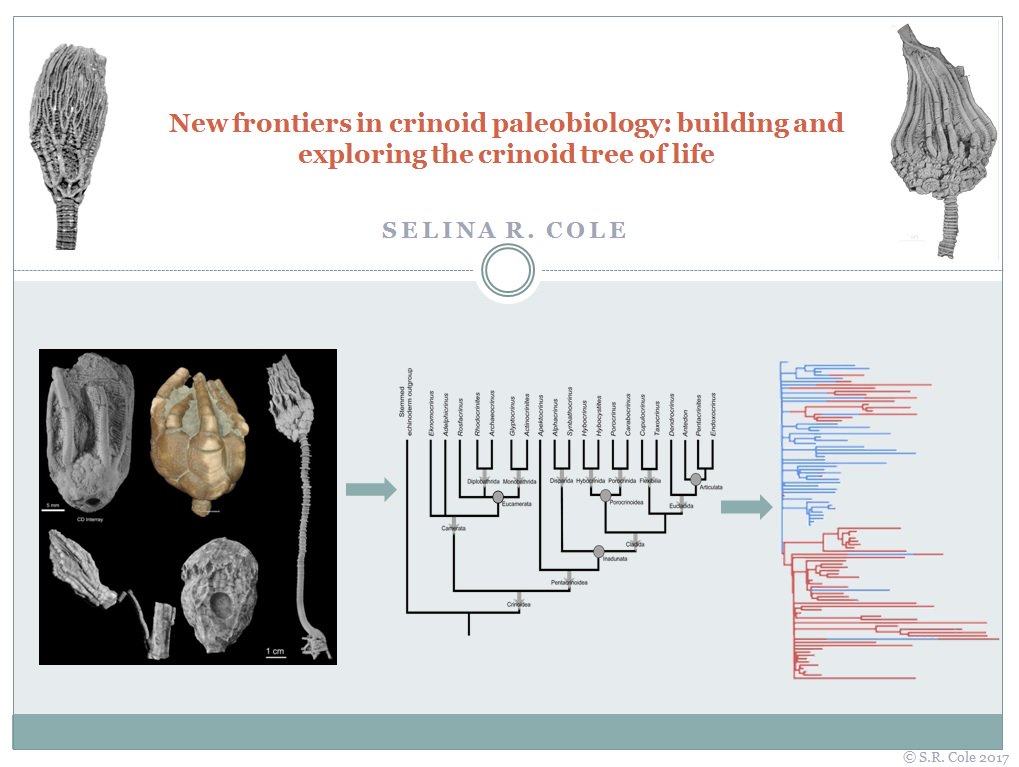 download sutherlands handbook