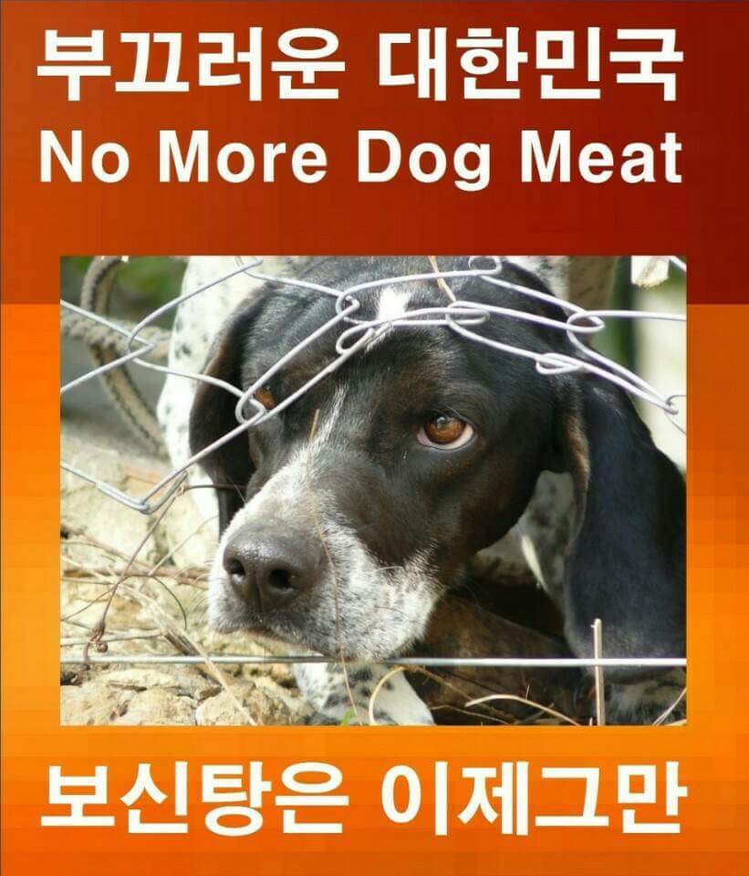 oimaco8's tweet photo. .@RepTipton U cosponsor #HRes30, to condemn the #dogmeattrade in China. Will u pls help outlaw dog meat in U.S. by cosponsoring H.R.1406? https://t.co/MTfZtYHrGU