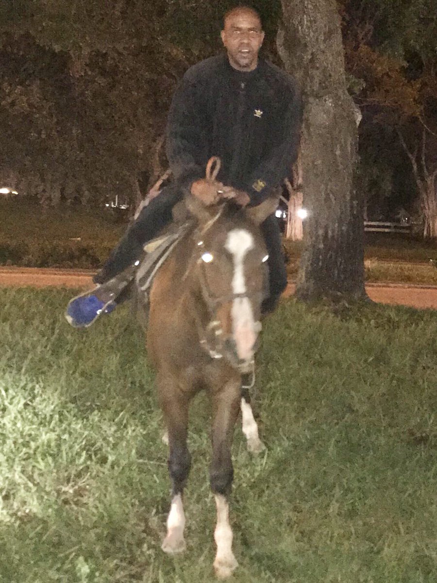 CEO | 360WiSE®️ (@iam360wise) on Twitter photo Practicing before I buy <a href="/Iam360WiseGal/">360WiseGal ™️</a> that Baby Stallion Horse🐴 she always wanted‼️
I need some pointers FAM <a href="/MCHammer/">MC HAMMER e/acc</a> 🐎🐎 like a helmet 🤣 Practicing before I buy <a href="/Iam360WiseGal/">360WiseGal ™️</a> that Baby Stallion Horse🐴 she always wanted‼️
I need some pointers FAM <a href="/MCHammer/">MC HAMMER e/acc</a> 🐎🐎 like a helmet 🤣