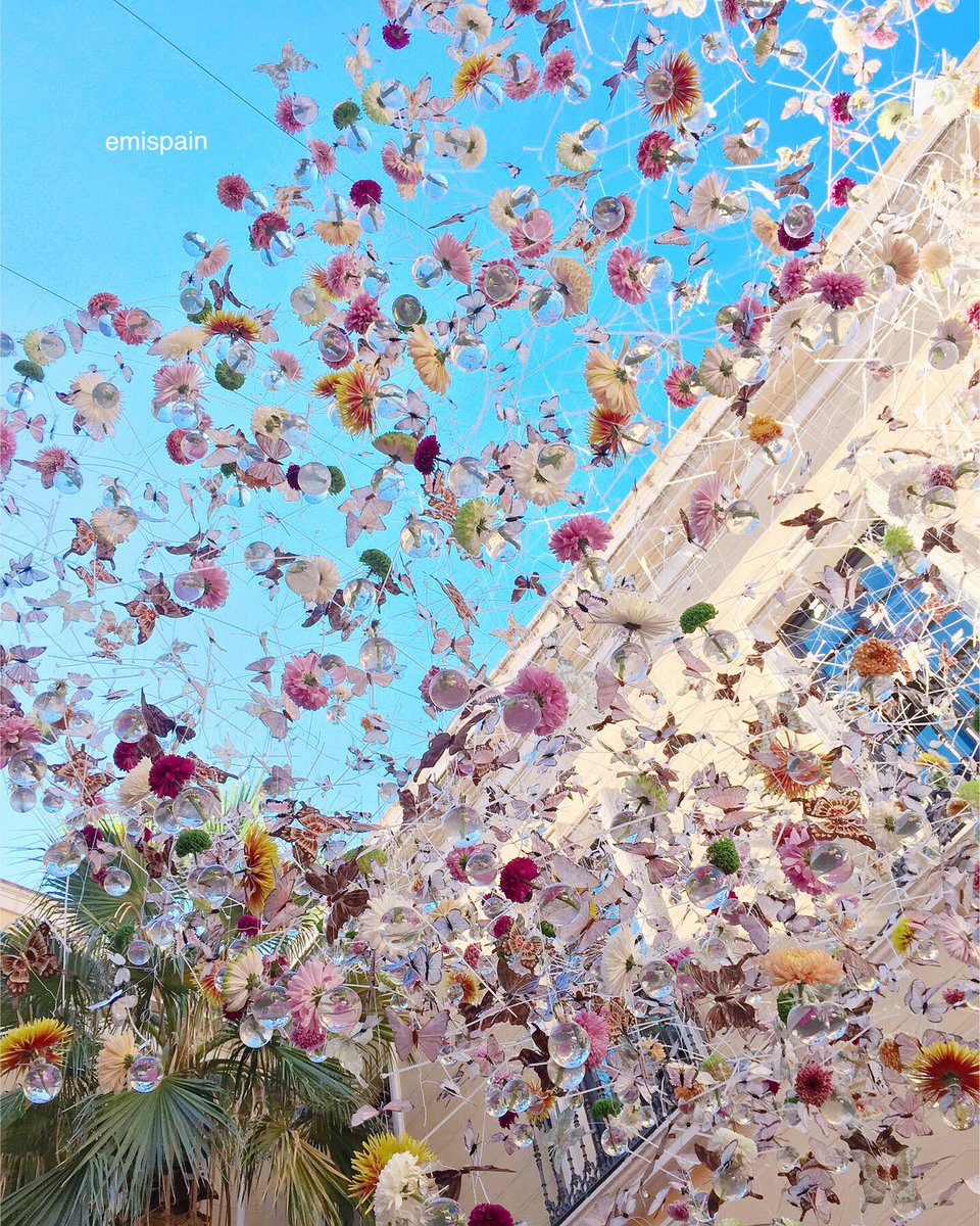 emi_spain's tweet photo. #コルドバ のパティオは5月だけじゃありません。今年初めて開催されたFLORA Festivalは日曜日に終了。伝統的なパティオと近代的なフラワーアートのコラボをテーマに、8人のアーティストにより8つのパティオが鮮やかに飾られました。#flora2017 #CordobaEsp https://t.co/KcQgIiaWf8