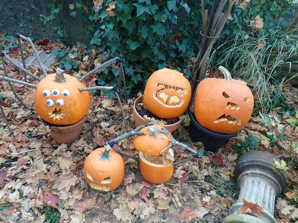 Building envelope renovations may seem scary (especially during demolition), but BCBS can make sure they're not terrifying! #HappyHalloween