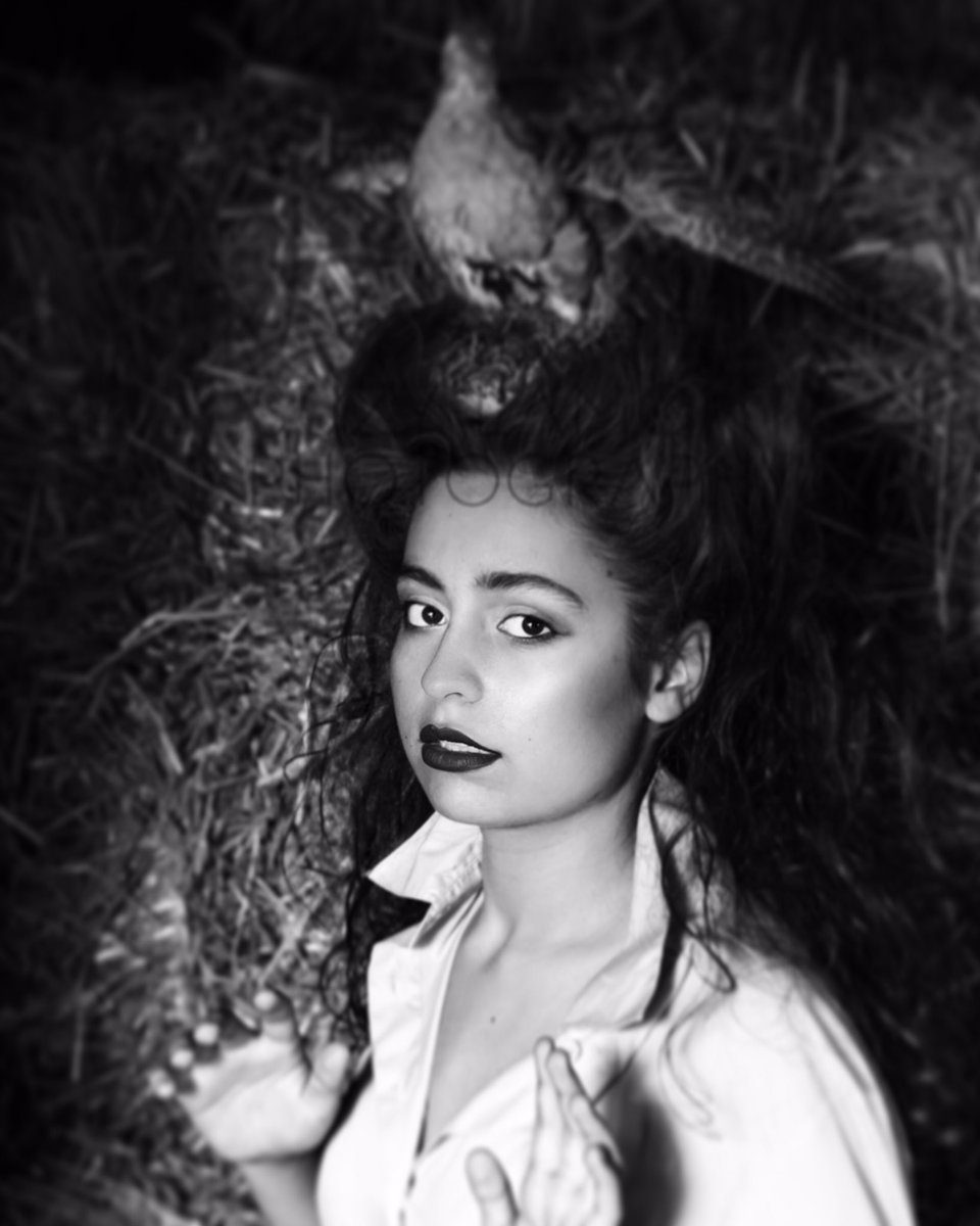 Savage Beauty...
Watch Hitchcock. 
Admire McQueen.
❤️D

#alfredhitchcockpresents #alexandermcqueen 
#SuzyLamontPhotography