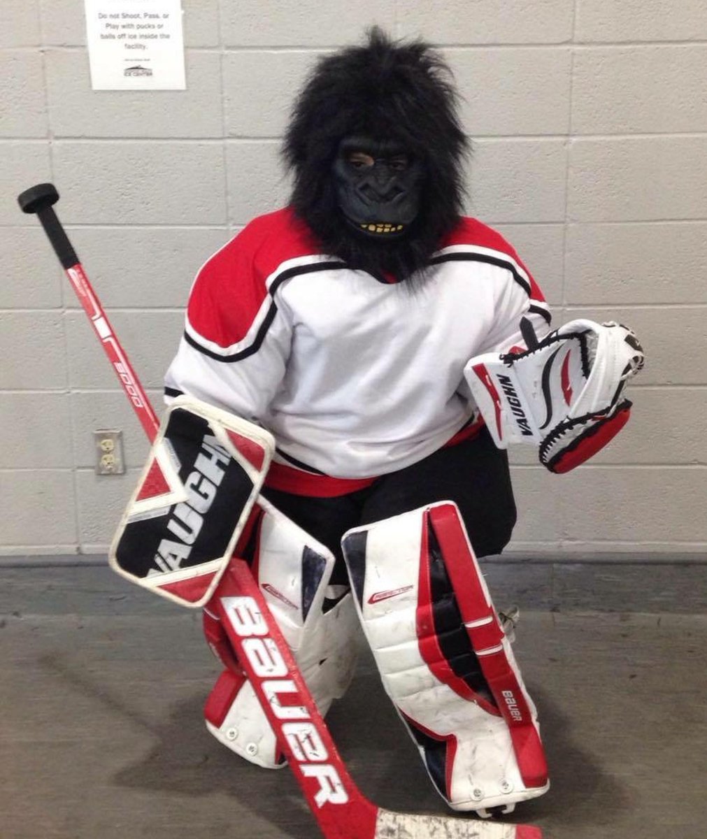 hockey monkey        <h3 class=