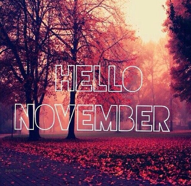 spreadnet360's tweet image. Welcome to November joor