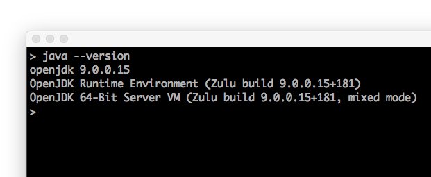 AriyaHidayat's tweet photo. Remember when `java --version` (dash dash) never worked? Finally it's working with the latest @Java 9! https://t.co/cjVV0G9TXz