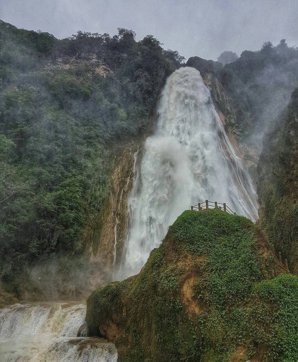 FoodandTravelMX's tweet photo. ¡Aquí la cascada Velo de Novia en #ElChiflón, #Chiapas! tiene caída de 110 m de altura. ¡Impresionante! @Volkswagen_MX #DondeLoGrandeSucede https://t.co/xOJ2vsb5qg