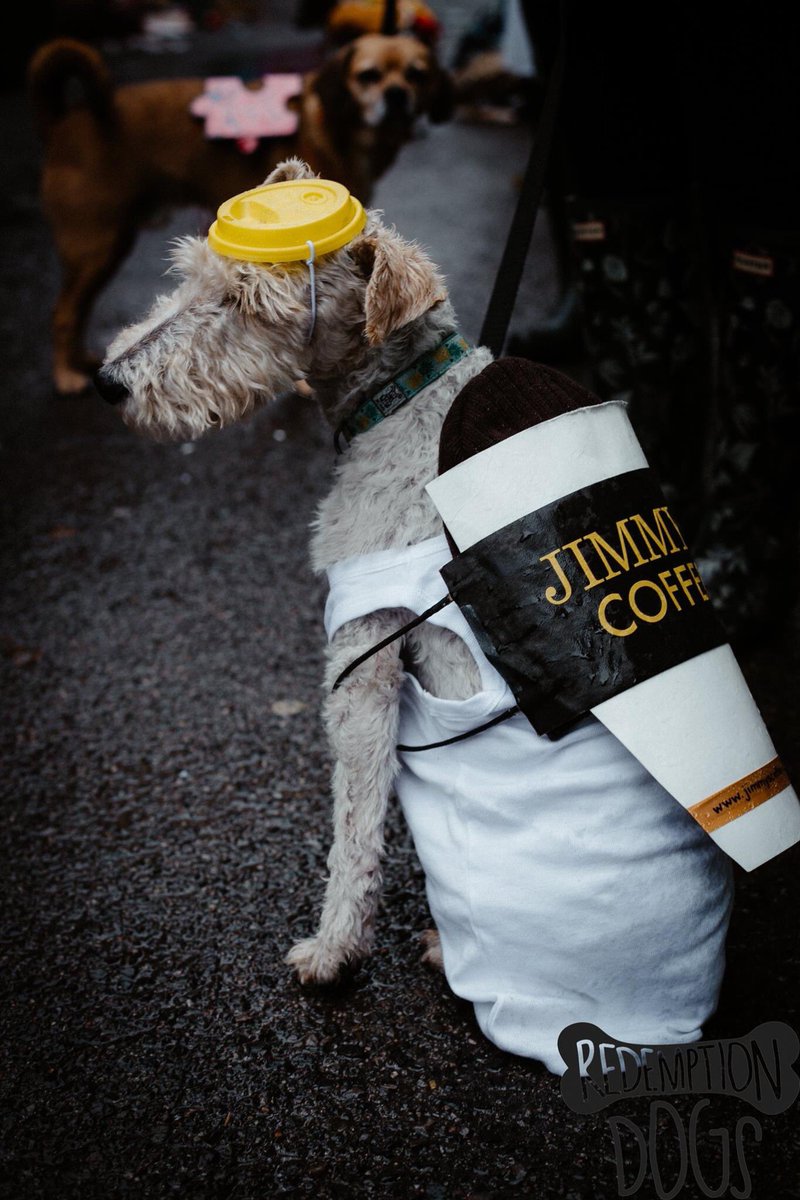 RedemptionDogs's tweet image. 🎃👻❤️🎃👻