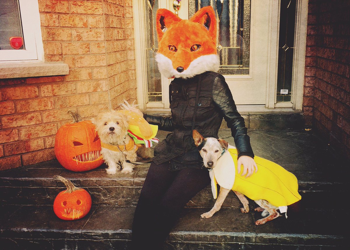 RedemptionDogs's tweet image. Happy Halloween 🎃