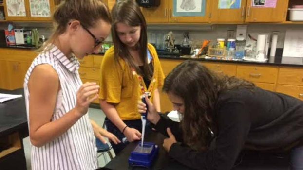 miniPCR's tweet image. PCHS students get first-in-nation chance to use DNA science in classroom #GenesinSpace #LabinaBox
tryondailybulletin.com/2017/10/31/pch…